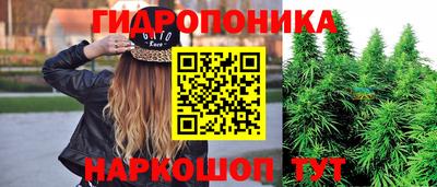 apvp Гусиноозёрск
