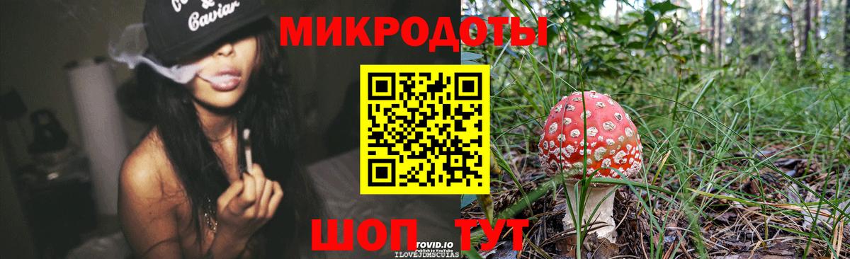 Галлюциногенные грибы Magic Shrooms  Вход с VPN  Бердск  Псилоцибиновые грибы GOLDEN TEACHER 